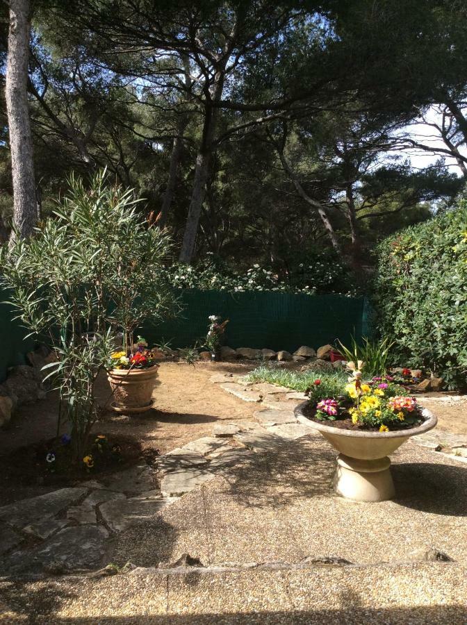 T2 Rez De Jardin 300M Plage De Beaucours Sanary Sur Mer Екстериор снимка