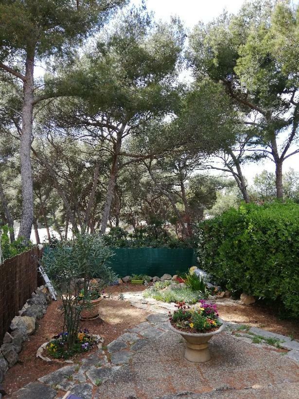 T2 Rez De Jardin 300M Plage De Beaucours Sanary Sur Mer Екстериор снимка